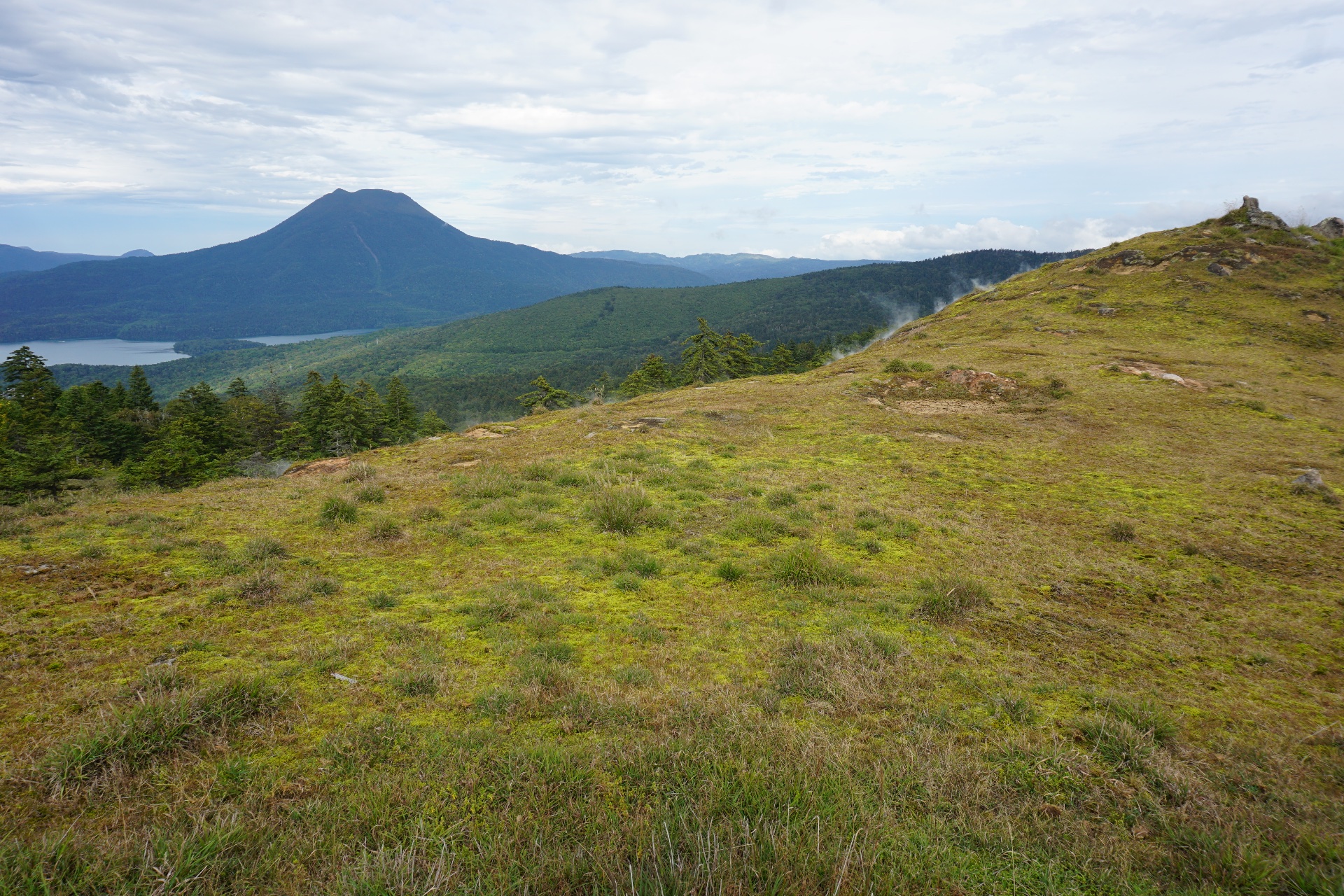 Obrázek