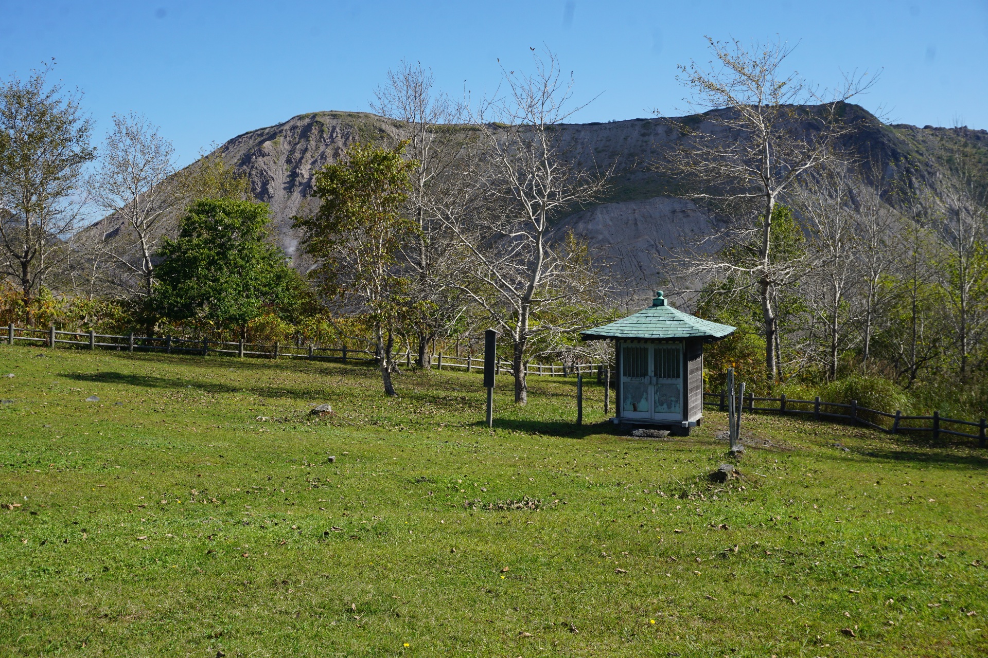 Obrázek