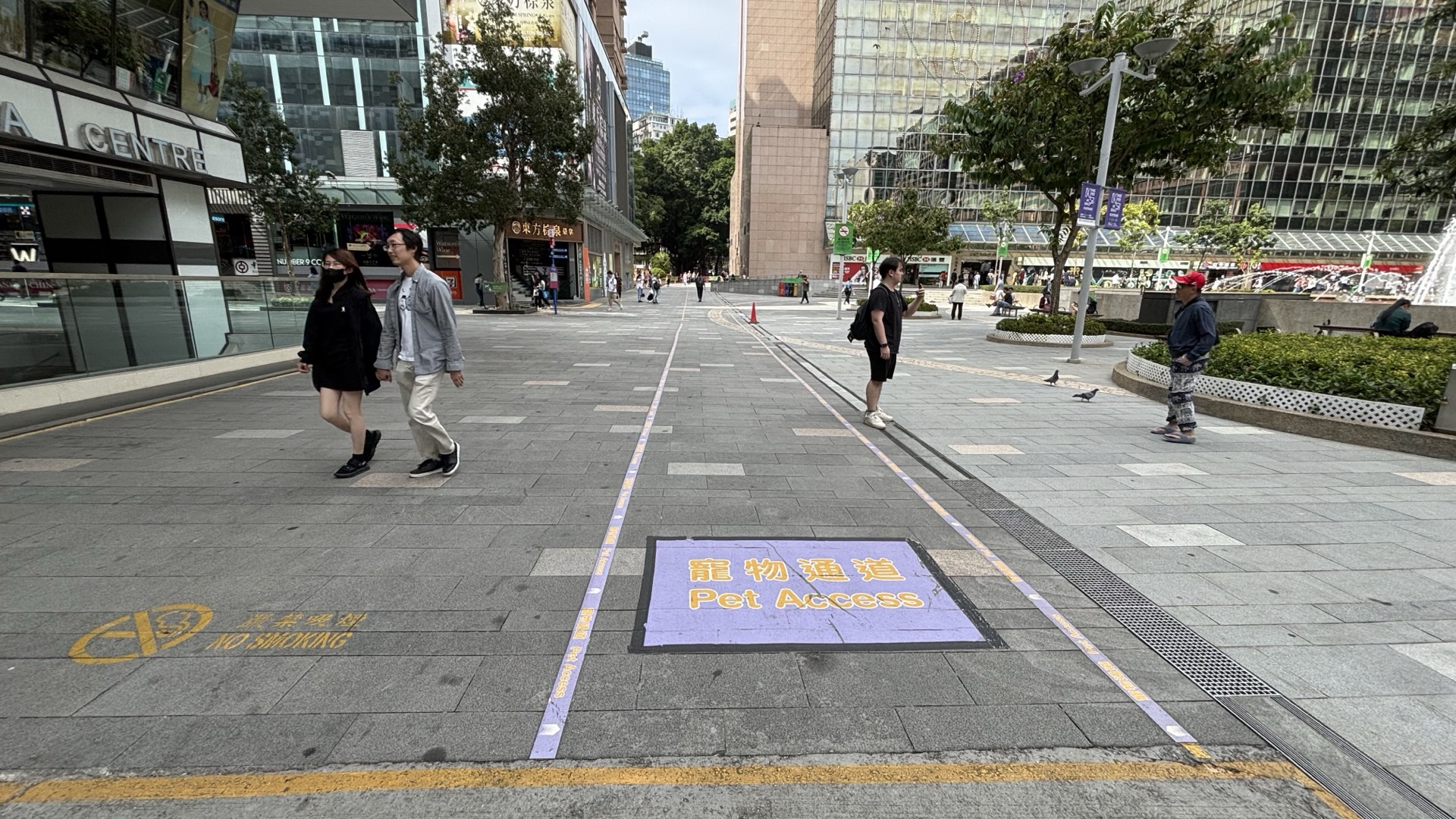 Dog inclusive koridor